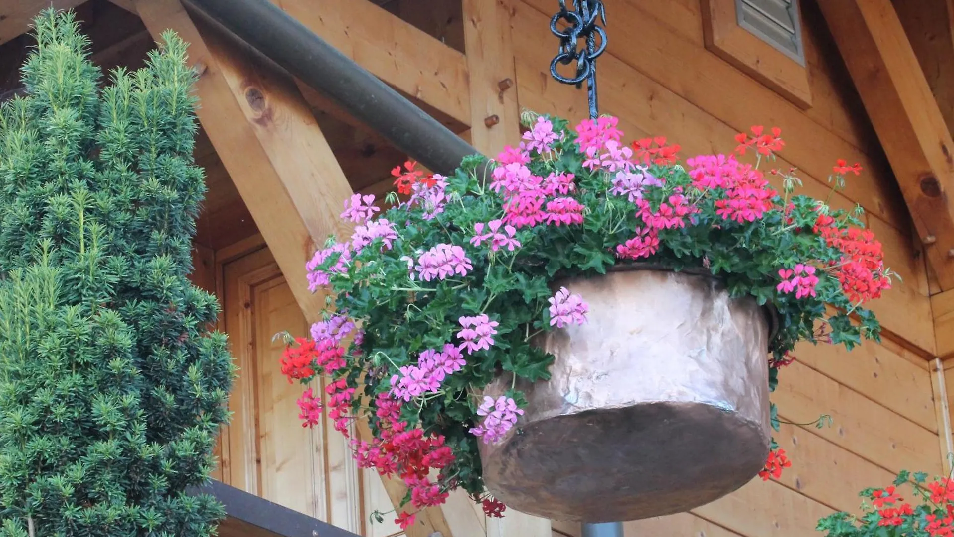 Le Chalet Des 3 Ours Neuvecelle